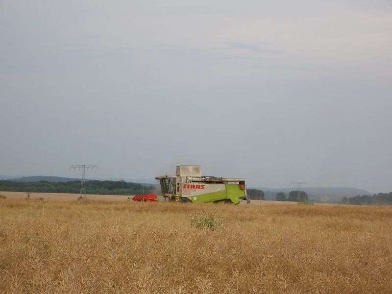 Claas Lexion 480 14.jpg